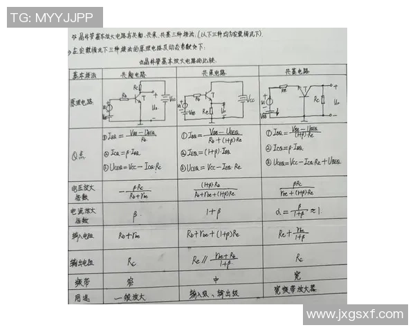上海飞盘队整体压制战术解析及其在赛事中的优势表现 上海飞盘队整体压制战术解析及其在赛事中的优势表现